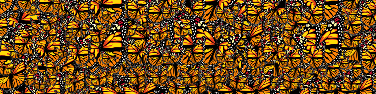 MARIPOSAS MONARCA FONDO